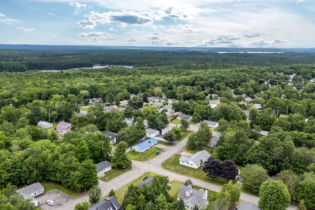 102 New Hampshire St, Millinocket, ME 04462 - bird's eye view of a heavily wooded area