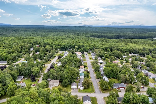 102 New Hampshire St, Millinocket, ME 04462 - aerial view of a heavily wooded area