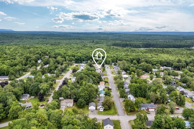 102 New Hampshire St, Millinocket, ME 04462 - bird's eye view of a heavily wooded area