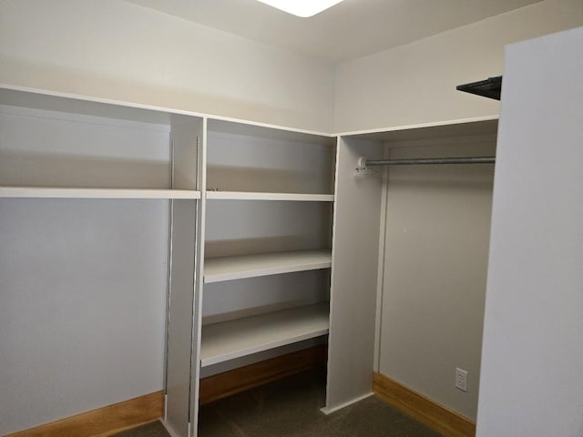 spacious closet with dark colored carpet
