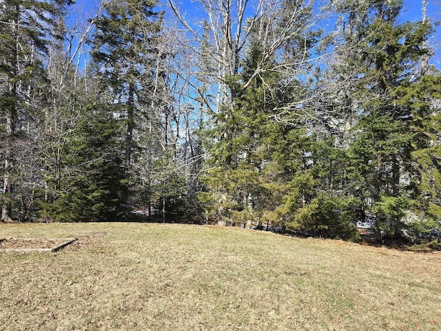 view of yard featuring a wooded view