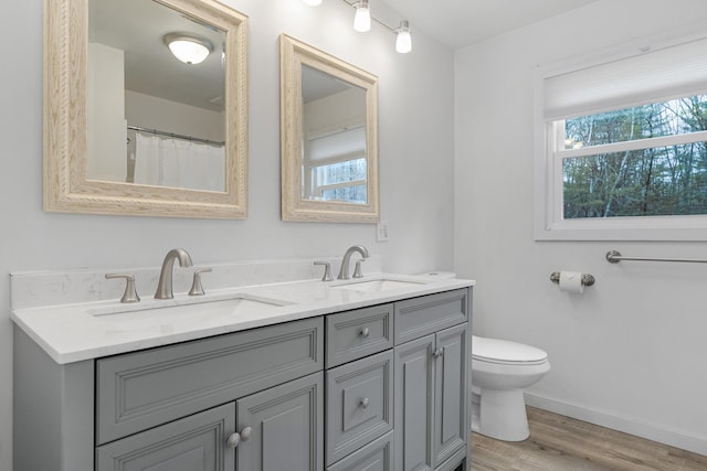 155 Saco Rd, Hollis, ME 04042 - bathroom featuring wood finished floors, toilet, double vanity, and baseboards