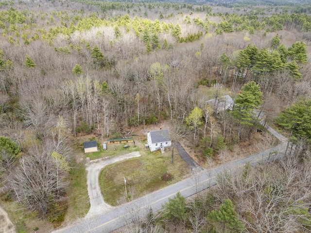 155 Saco Rd, Hollis, ME 04042 - view of subject property