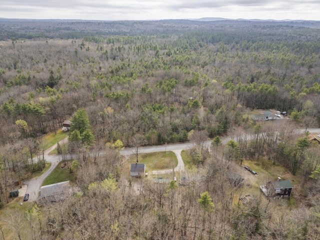 155 Saco Rd, Hollis, ME 04042 - view of property location featuring a forest