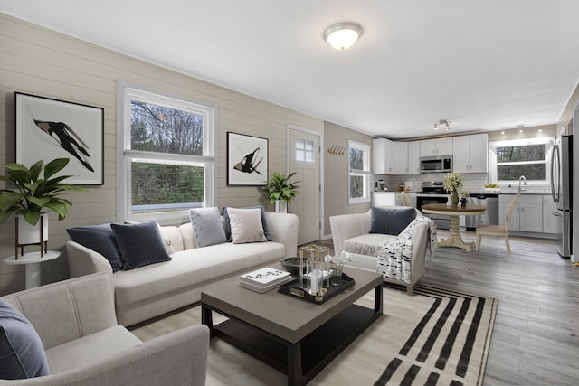 155 Saco Rd, Hollis, ME 04042 - living room featuring light wood-type flooring