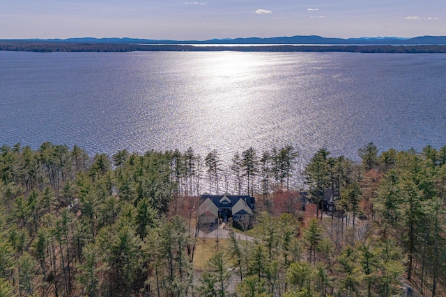 bird's eye view with a water and mountain view