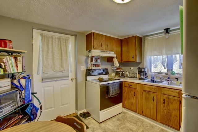 kitchen featuring brown cabinetry, light countertops, under cabinet range hood, white range with electric stovetop, and a sink