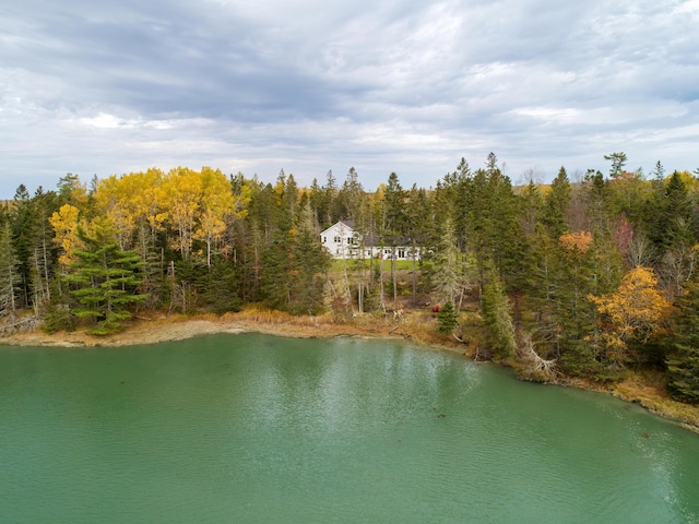bird's eye view featuring a water view and a view of trees