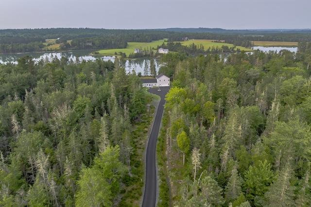 drone / aerial view featuring a water view and a wooded view