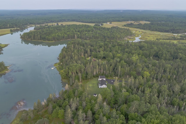 drone / aerial view with a water view and a view of trees