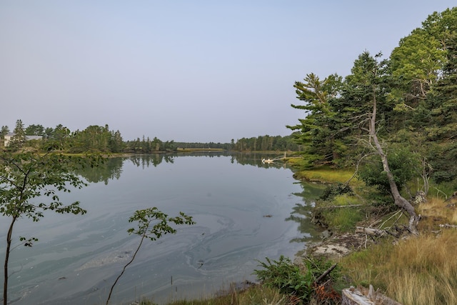 property view of water
