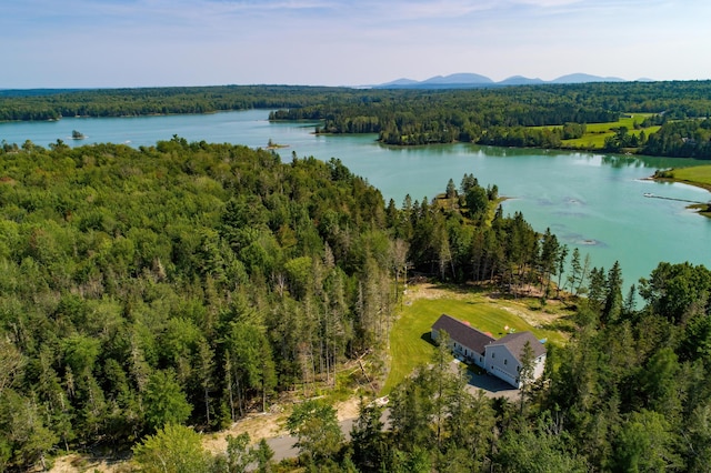 drone / aerial view featuring a water view and a forest view