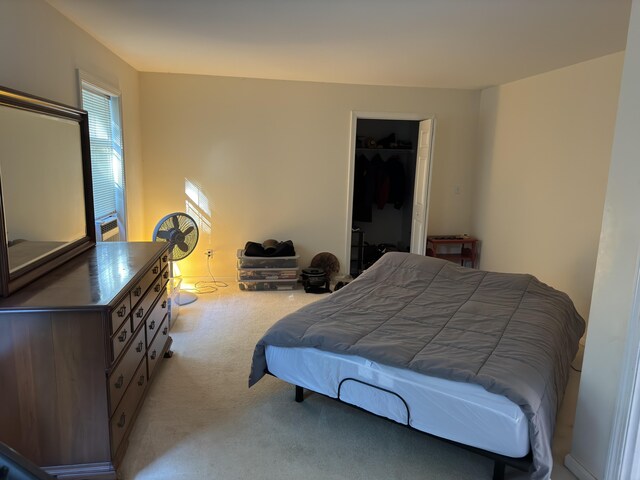 bedroom featuring a closet, a walk in closet, and carpet