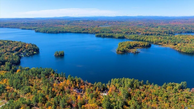 bird's eye view with a water view and a view of trees