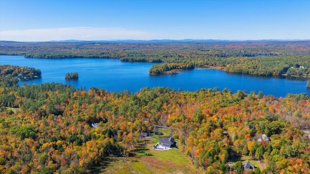 bird's eye view with a water view and a view of trees