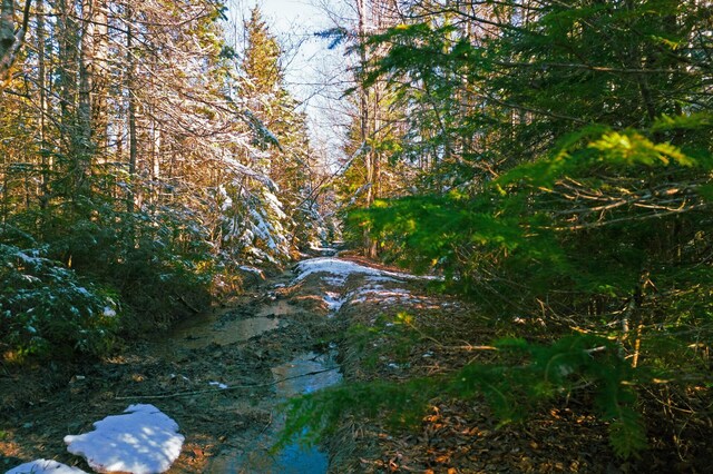 LOT26 Black Rd N, Searsport, ME 04974