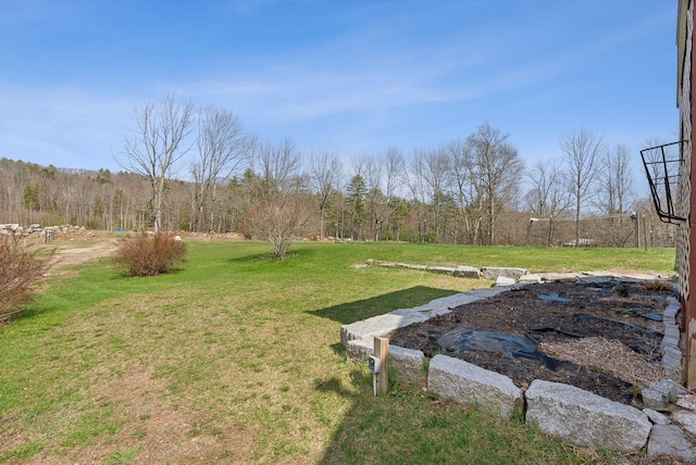 205 Patterson Rd, Limerick, ME 04048 - view of yard