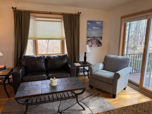 living area with wood finished floors