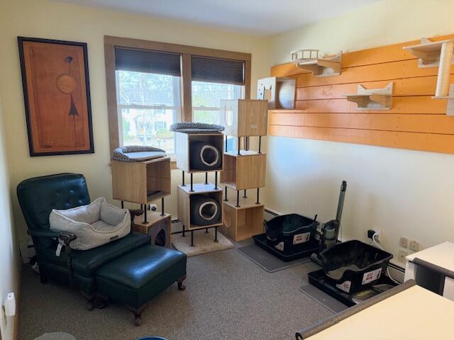 exercise area with carpet flooring