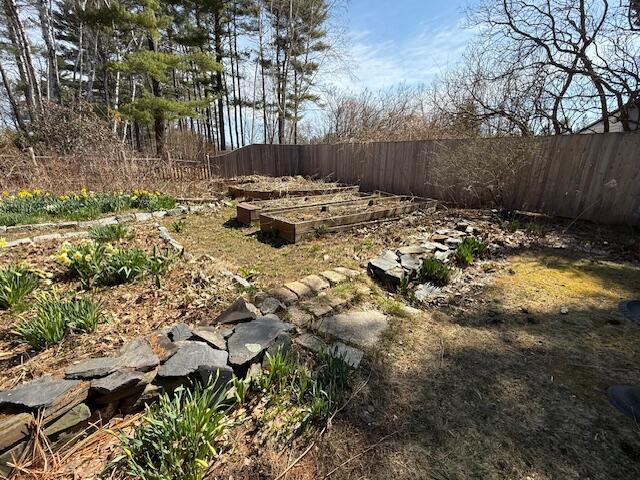 view of yard with fence and a vegetable garden