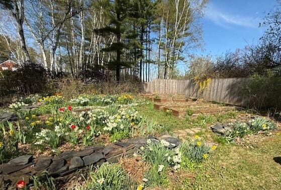 9 Cherry Hill Dr, Waterville, ME 04901 - view of yard with a vegetable garden