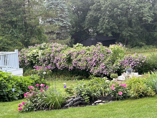 168 Ocean Ave, Kennebunkport, ME 04046 - view of yard