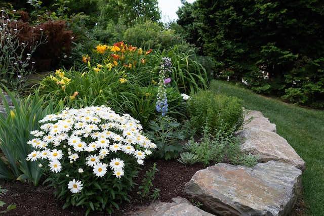 168 Ocean Ave, Kennebunkport, ME 04046 - view of yard