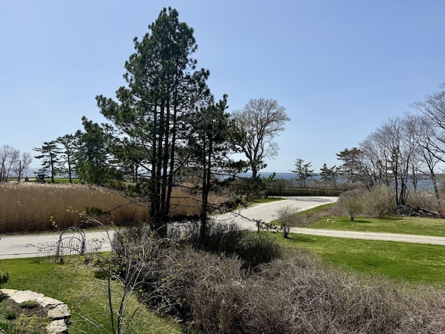 168 Ocean Ave, Kennebunkport, ME 04046 - view of yard