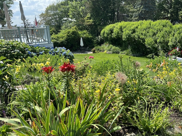 168 Ocean Ave, Kennebunkport, ME 04046 - photo 72