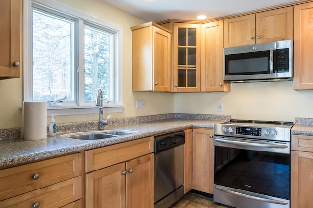 kitchen featuring stainless steel appliances, a wealth of natural light, a sink, and glass insert cabinets