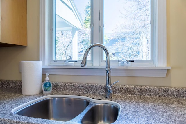 room details with a sink