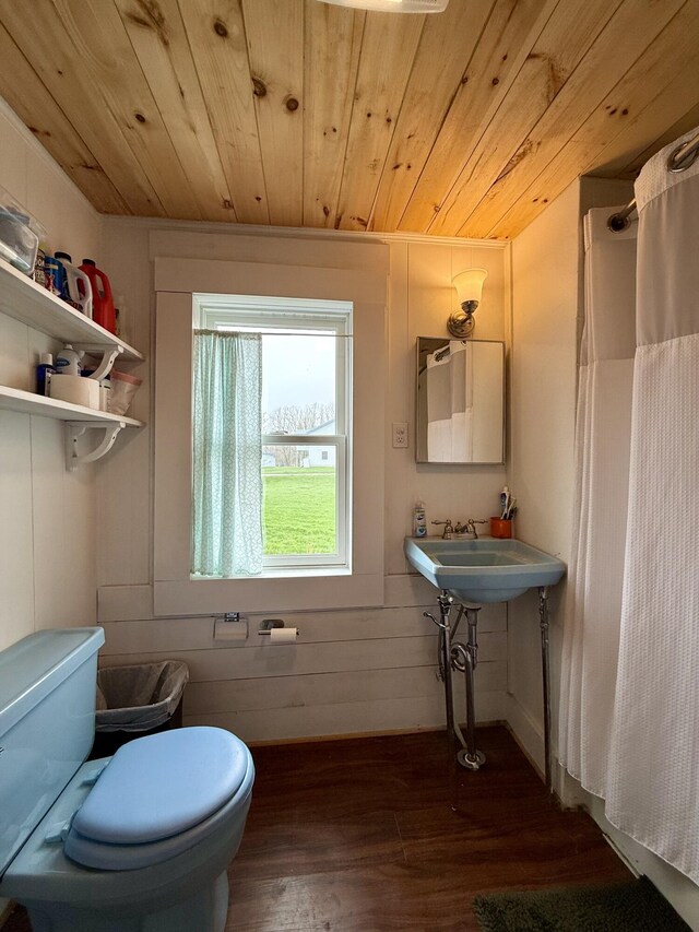 12 Prince Ave, Eastport, ME 04631 - bathroom with wood ceiling, toilet, hardwood / wood-style floors, curtained shower, and a sink
