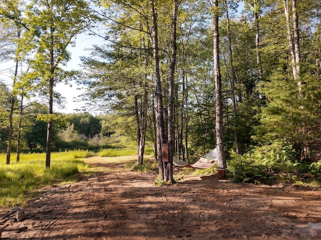 305 Main St N, Searsmont, ME 04973 - view of street with a wooded view