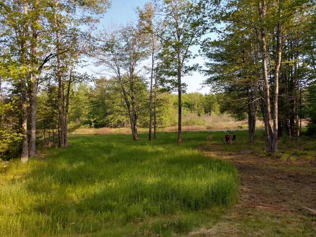 305 Main St N, Searsmont, ME 04973 - view of yard