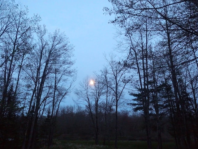 305 Main St N, Searsmont, ME 04973 - view of landscape featuring a view of trees