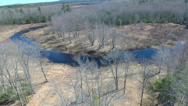 305 Main St N, Searsmont, ME 04973 - water view with a view of trees