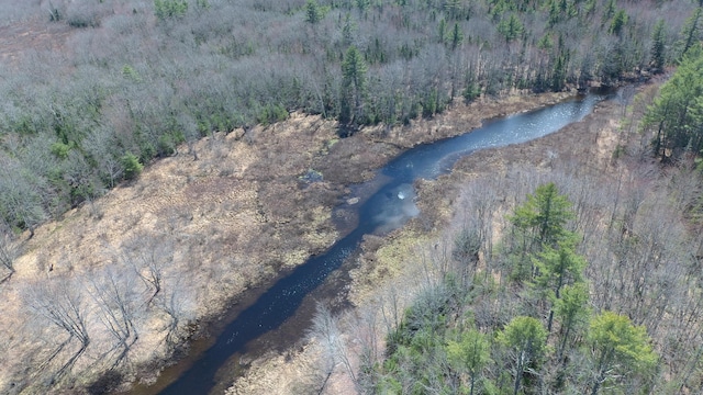 305 Main St N, Searsmont, ME 04973 - bird's eye view featuring a forest view