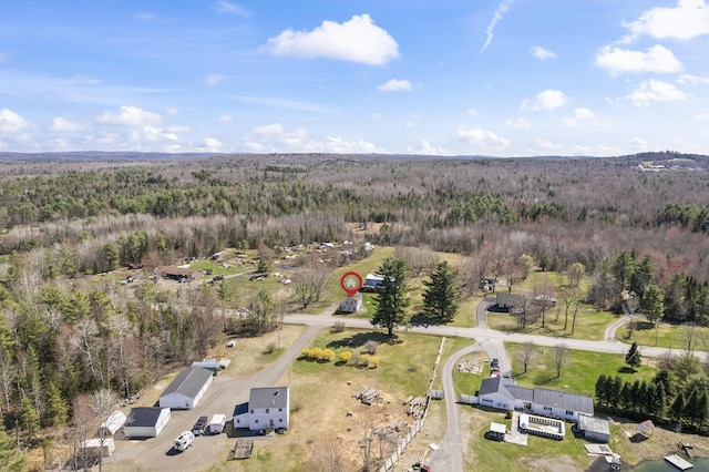 aerial view with a forest view