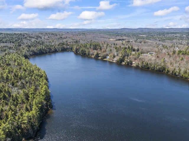 48 Thistle Ln, Sidney, ME 04330 - drone / aerial view of a forest and a large body of water