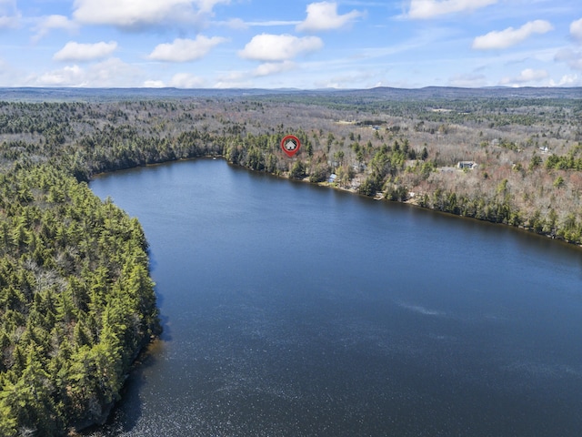 48 Thistle Ln, Sidney, ME 04330 - aerial view of a forest and a nearby body of water