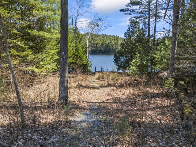 48 Thistle Ln, Sidney, ME 04330 - water view with a heavily wooded area