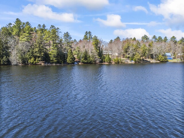 48 Thistle Ln, Sidney, ME 04330 - water view