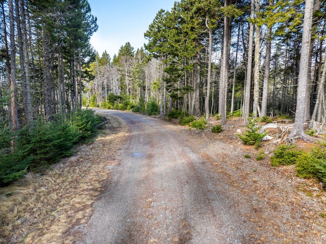 view of road featuring a wooded view