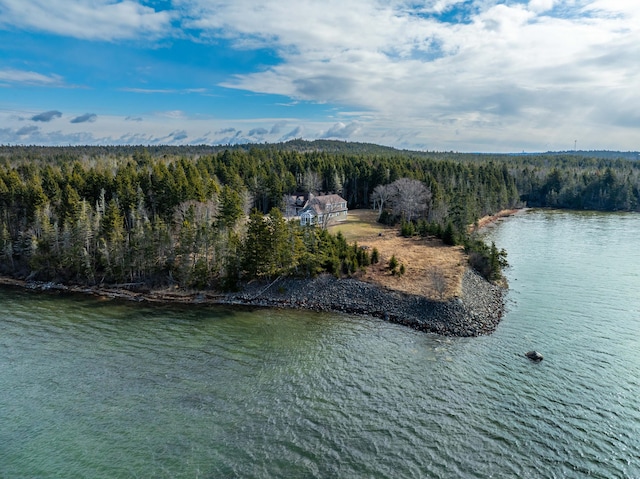birds eye view of property with a water view and a forest view