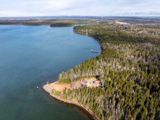 bird's eye view featuring a water view and a forest view