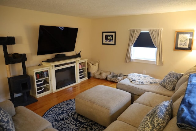 living room with wood finished floors