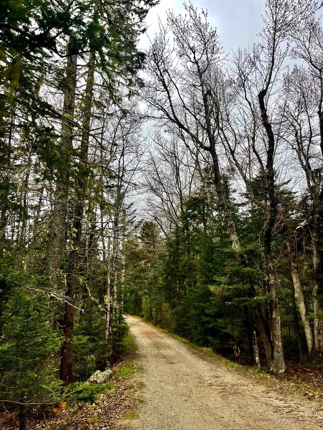 1572 State Highway 102, Bar Harbor, ME 04609 - photo 7