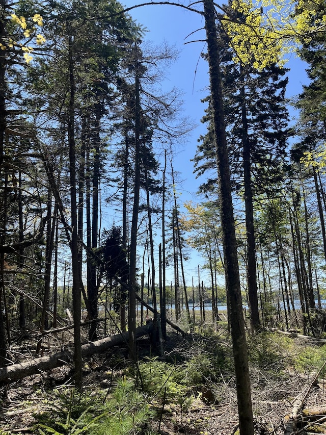 1572 State Highway 102, Bar Harbor, ME 04609 - photo 1