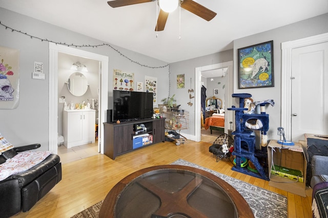 living room with ceiling fan and light wood-style flooring