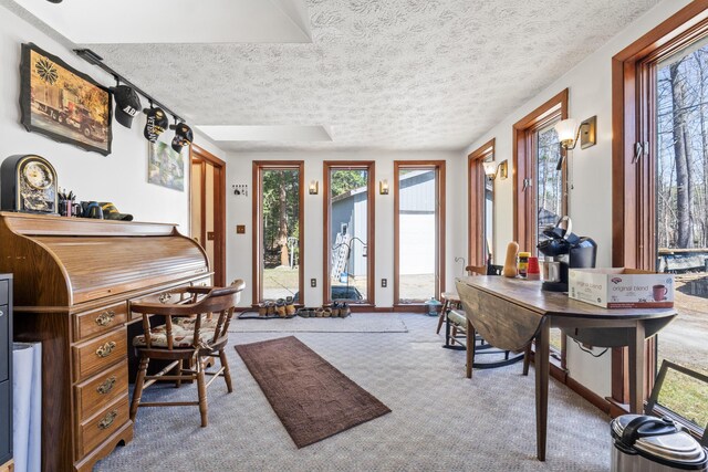 office space featuring a textured ceiling, carpet, and a healthy amount of sunlight